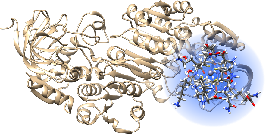 ../_images/protein-metal-cluster.png