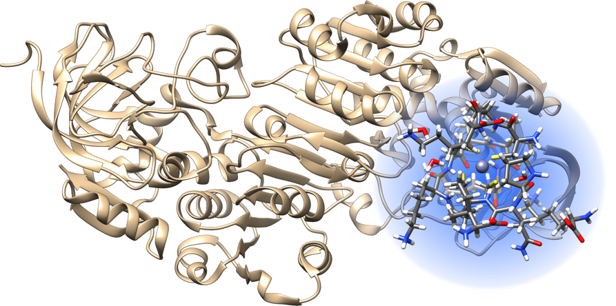 _images/protein-metal-cluster1.png